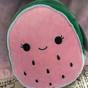 8 inch wanda the watermelon squishmallow!
